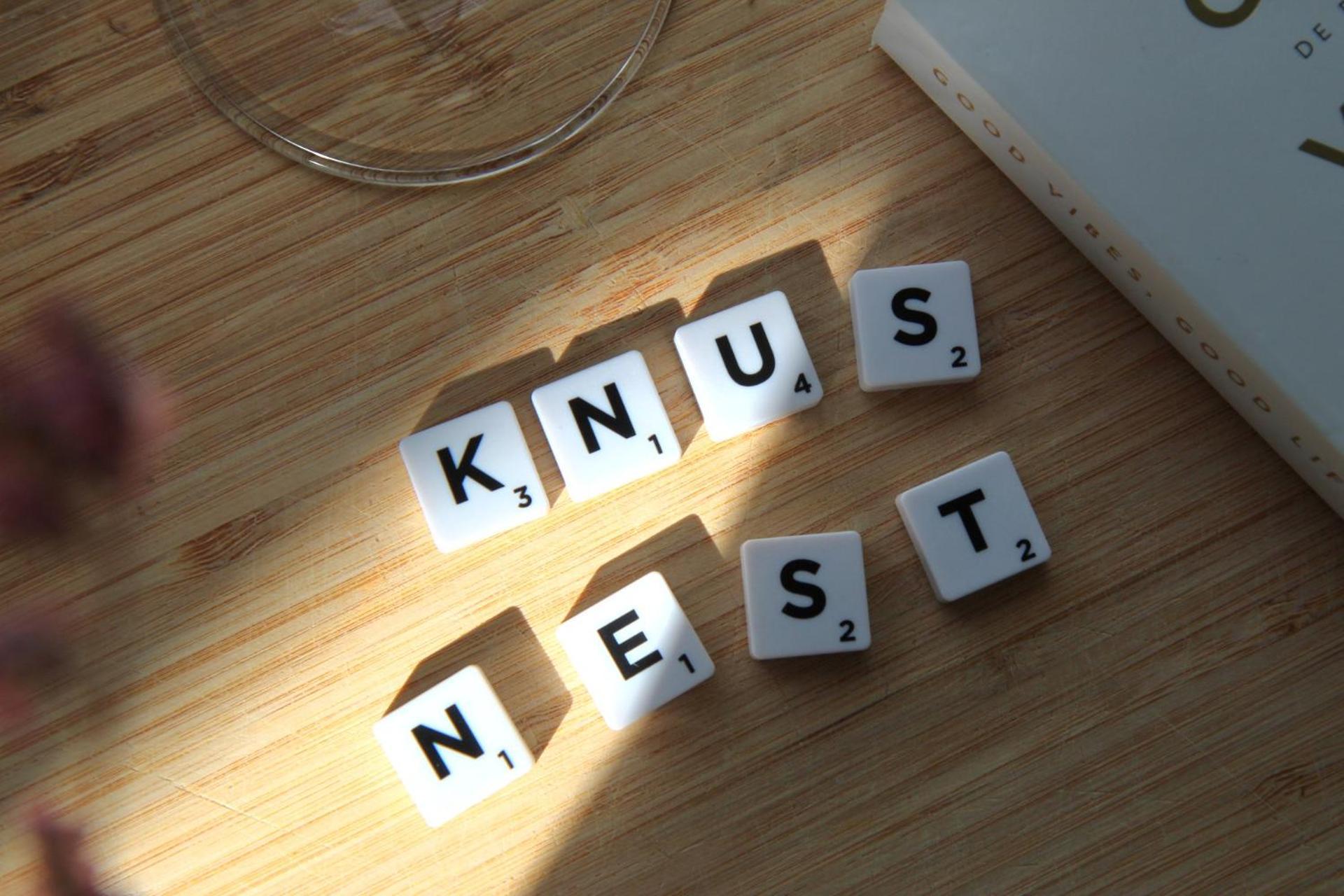 Buitenverblijf Nest أرنهيم المظهر الخارجي الصورة